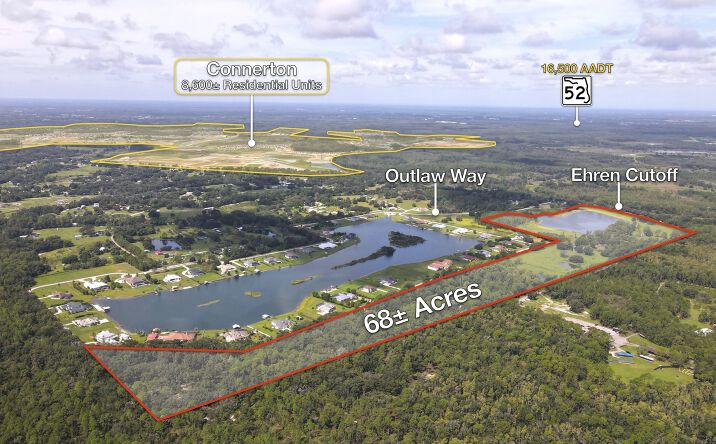 Pictures of Land property located at 10460 Ehren Cutoff, Land O' Lakes, FL 34637 for sales - image #1
