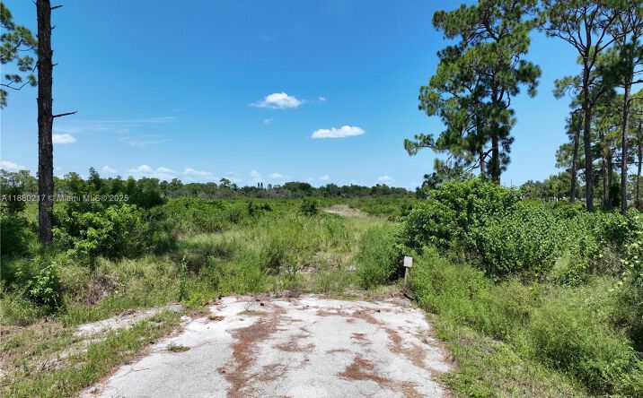 Pictures of Land property located at 530 Lotus, Sebring, FL 33872 for sales - image #1
