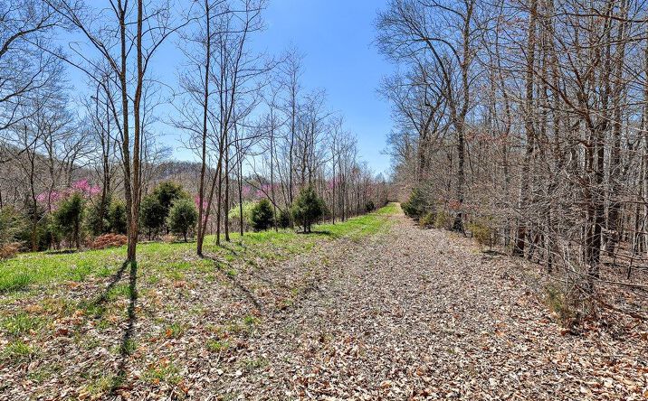 Pictures of Land property located at 3530 Highway 75, Kingsport, TN 37663 for sales - image #1