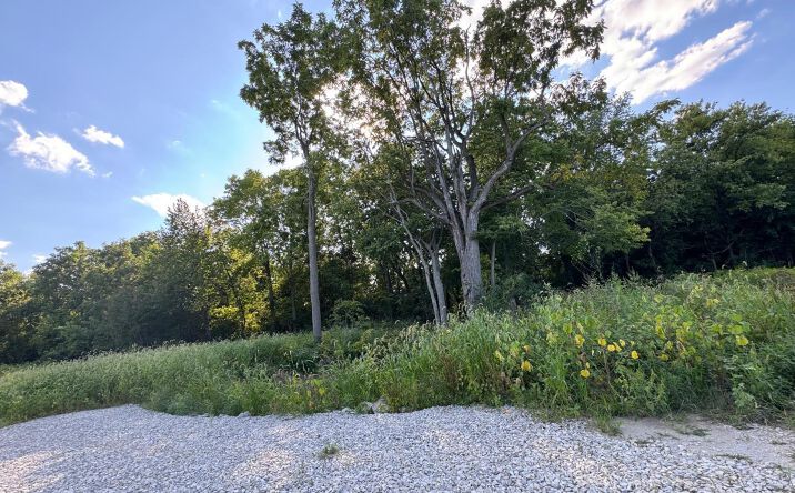 Pictures of Land property located at County Road 308, Bellevue, OH 44811 for sales - image #1