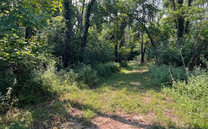 Pictures of Land, Special Purpose property located at RR N 1800 Road, Blandinsville, IL 61420 for sales - image #1