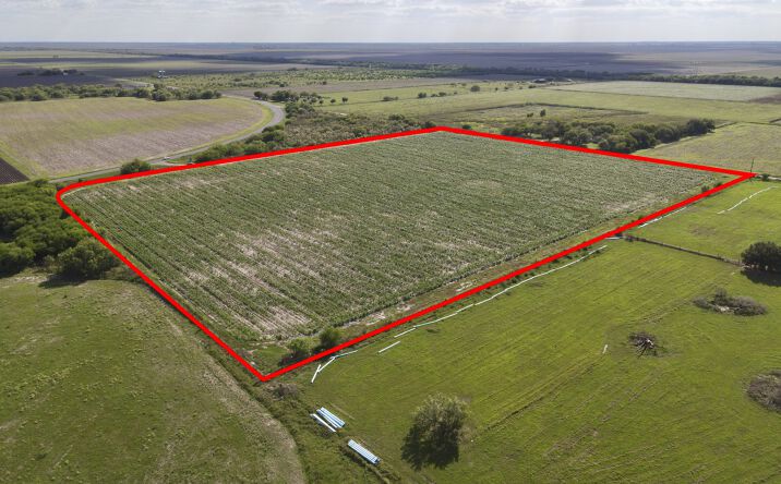 Pictures of Land property located at Fm 2556 Cantu Road, Santa Rosa, TX 78593 for sales - image #1