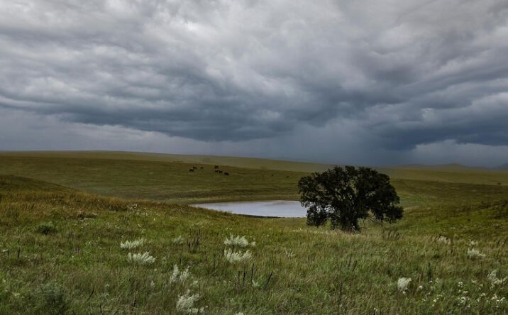 Pictures of Land property located at TBD, Hamill, SD 57569 for sales - image #1