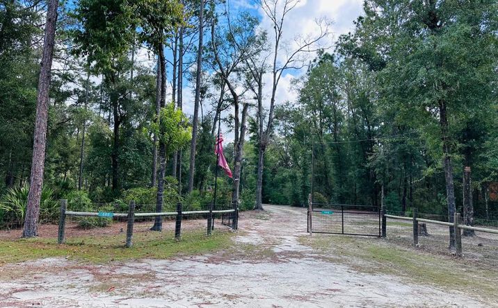 Pictures of Land property located at 580 NE 829th St, Old Town, FL 32680 for sales - image #1