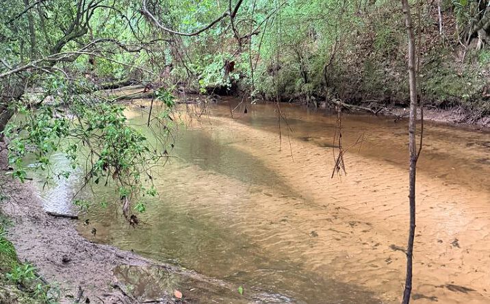 Pictures of Land, Special Purpose property located at 21.79 Acre Homer Ladner Road, Poplarville, MS 39470 for sales - image #1
