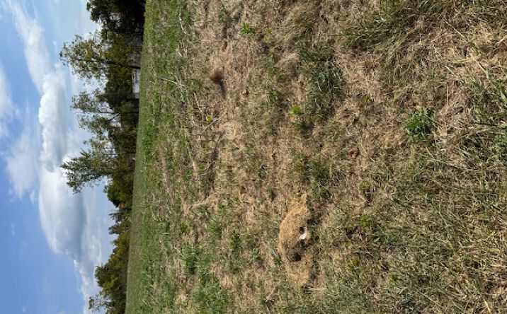 Pictures of Land property located at 0 McGovern, Washington, PA 15301 for sales - image #1