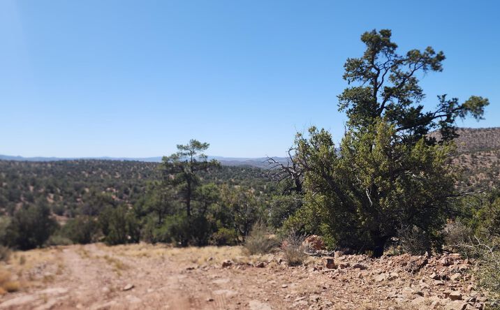 Pictures of Land property located at 363 & 364 Big View, Ash Fork, AZ 86320 for sales - image #1