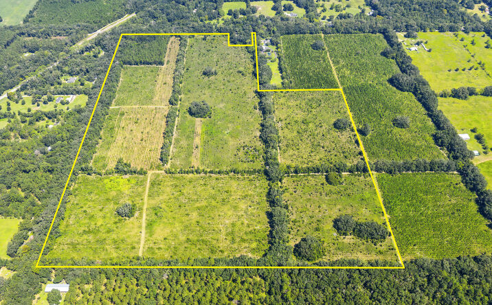 Pictures of Land property located at NW 62nd Ave and Co Rd 235, Newberry, FL 32669 for sales - image #1