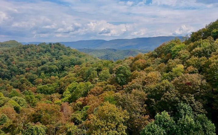 Pictures of Land, Multifamily property located at TBD Stoney Ridge Road, Tazewell, VA 24605 for sales - image #1