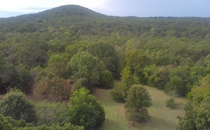 Pictures of Land property located at Worthen Dr, Mountain Home, AR 72653 for sales - image #1