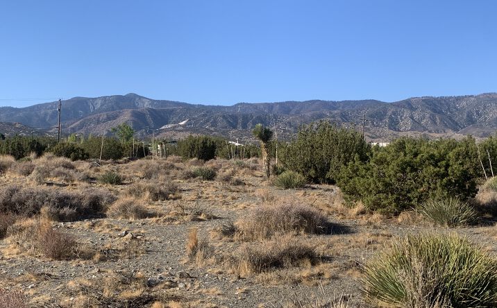 Pictures of Land property located at Yucca Terrace, Pinon Hills, CA 92372 for sales - image #1
