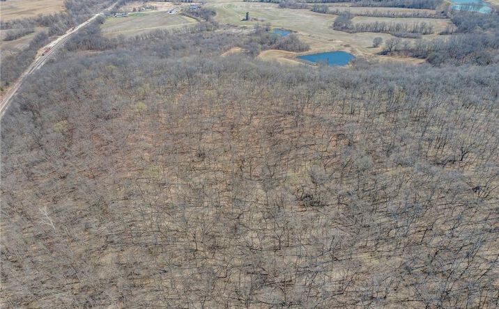 Pictures of Land property located at 72.41 Acres Garner Road, Richmond, MO 64085 for sales - image #1