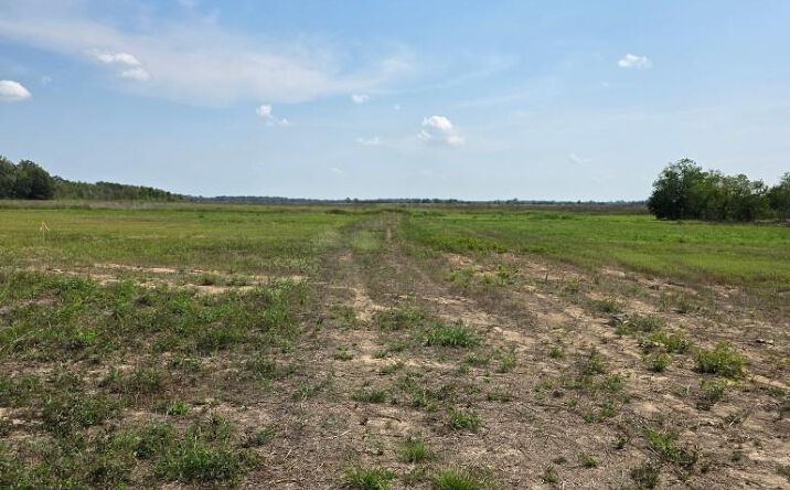 Pictures of Industrial property located at 00 LOUISIANA HIGHWAY 183, Rayville, LA 71269 for sales - image #1
