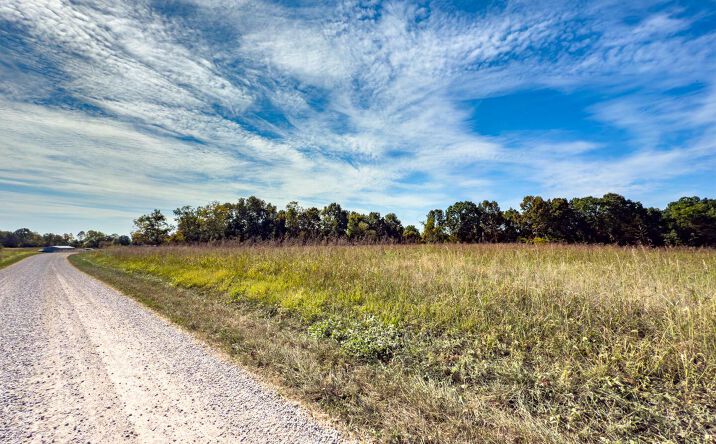 Pictures of Land property located at Tract 2 Perry Ridge Rd, Wilkesville, OH 45695 for sales - image #1