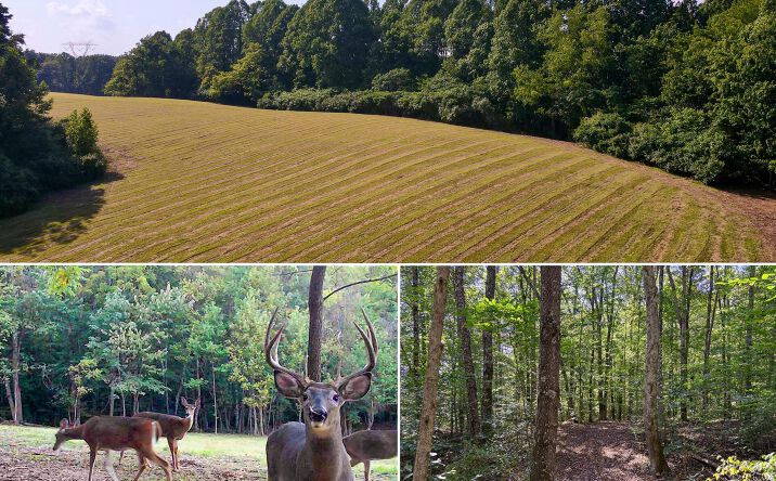 Pictures of Land property located at Wolf Hill Road #(Tract 7 Wolf Hill), McArthur, OH 45651 for sales - image #1