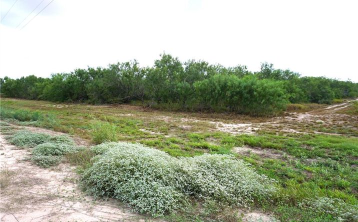Pictures of Land property located at 3/4 W FM 2812, Edinburg, TX 78541 for sales - image #1