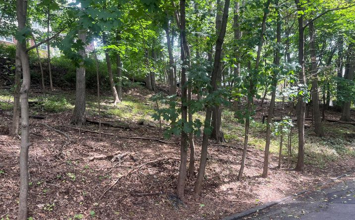 Pictures of Land property located at Springwood Avenue, Greenburgh, NY 10502 for sales - image #1