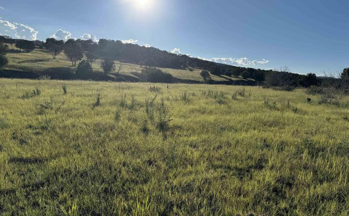Pictures of Land property located at 665 Us Highway 380 Highway, Capitan, NM 88316 for sales - image #1