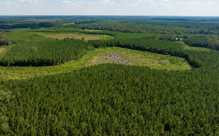 Pictures of Land property located at Newington Hwy & Hudson Ferry Rd, Newington, GA 30446 for sales - image #1