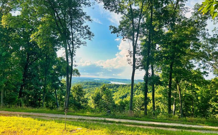 Pictures of Land property located at 3202 Lego School Rd, Linden, TN 37096 for sales - image #1