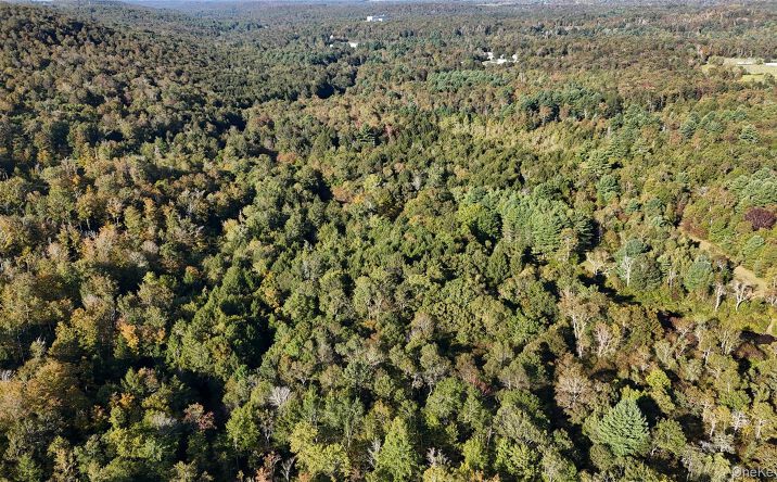 Pictures of Land, Special Purpose property located at Town Park Road, Thompson, NY 12701 for sales - image #1