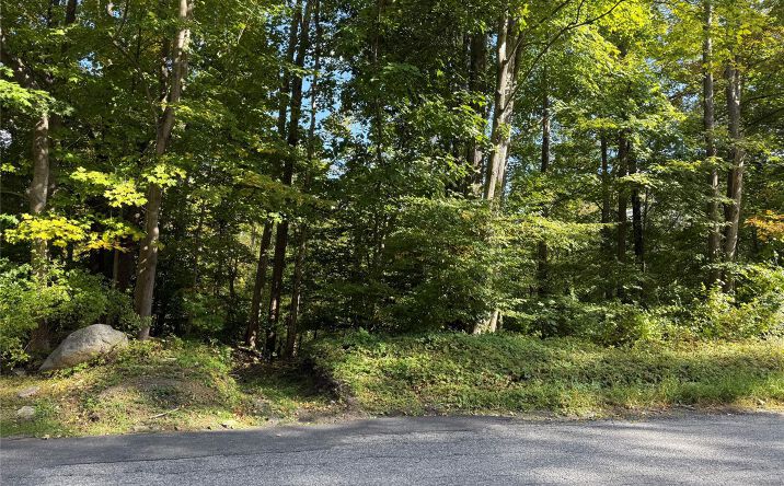 Pictures of Land property located at Ludington, Kent, NY 10512 for sales - image #1