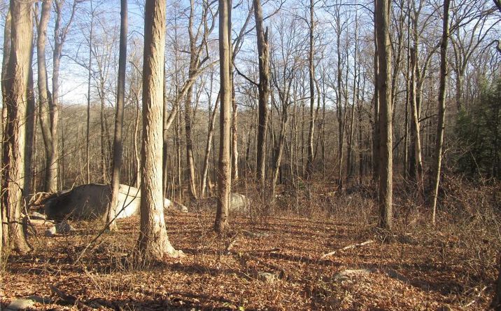 Pictures of Land property located at Brookside/Bear Mtn Parkway Avenue, Cortlandt, NY 10567 for sales - image #1