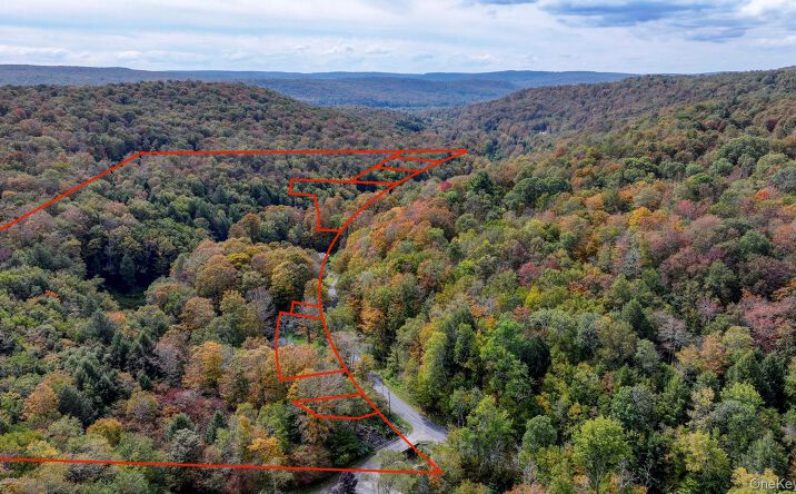 Pictures of Land property located at Grooville Road, Rockland, NY 12758 for sales - image #1