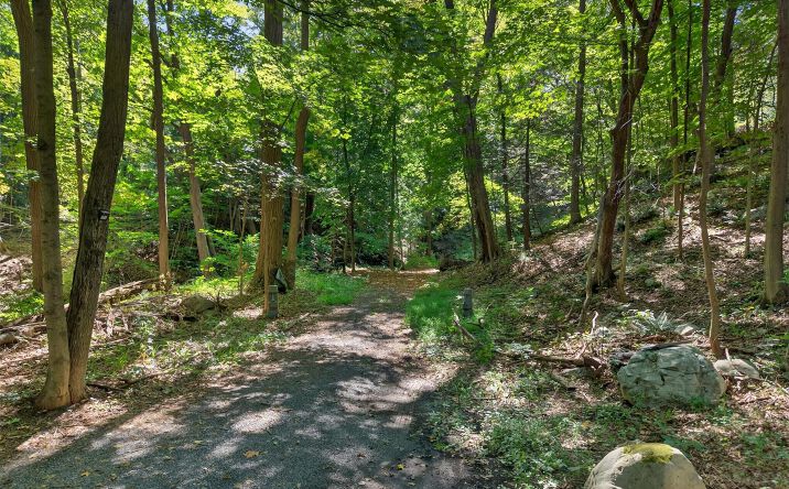 Pictures of Land, Special Purpose property located at 331 Mountain Lodge Road, Blooming Grove, NY 10914 for sales - image #1