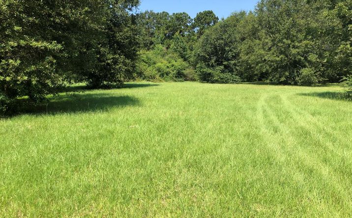 Pictures of Land, Special Purpose property located at 6871 Highway 11 North, Carriere, MS 39426 for sales - image #1
