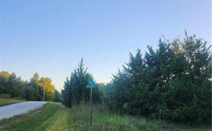 Pictures of Land, Special Purpose property located at 130 Boxelder Drive, Linn Valley, KS 66040 for sales - image #1