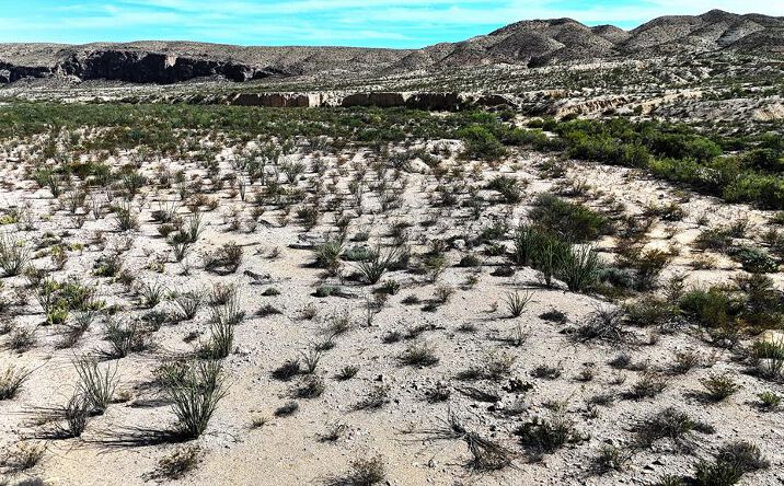 Pictures of Land property located at 26885 Long Draw Rd., Terlingua, TX 79852 for sales - image #1