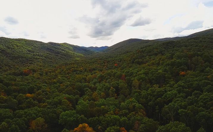 Pictures of Land property located at Lot 88 Nye Valley Rd - Cove Creek, Bastian, VA 24314 for sales - image #1
