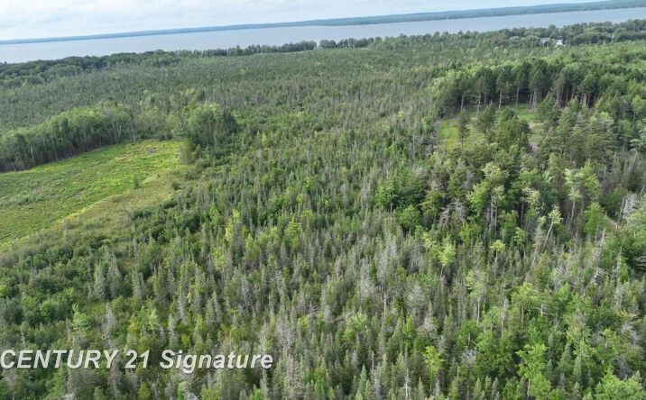 Pictures of Special Purpose property located at VL W Houghton Lake, Houghton Lake, MI 48629 for sales - image #1