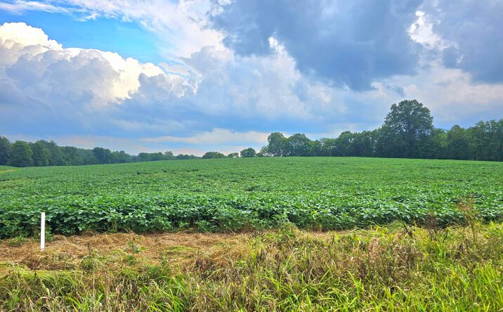 Pictures of Land property located at 2 County Road 26, Marengo, OH 43334 for sales - image #1
