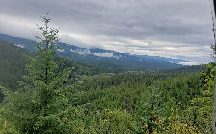 Pictures of Land property located at Lot 17 Nine Mile Road, Huson, MT 59846 for sales - image #1
