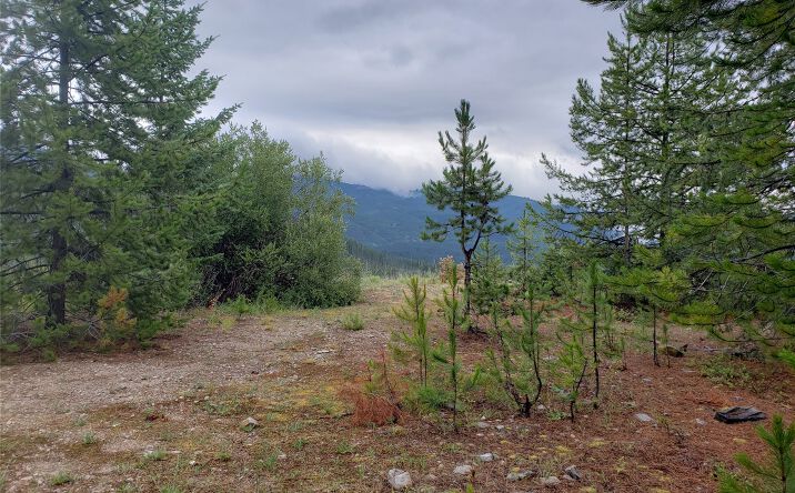 Pictures of Land property located at Lot 15 Nine Mile Road, Huson, MT 59846 for sales - image #1