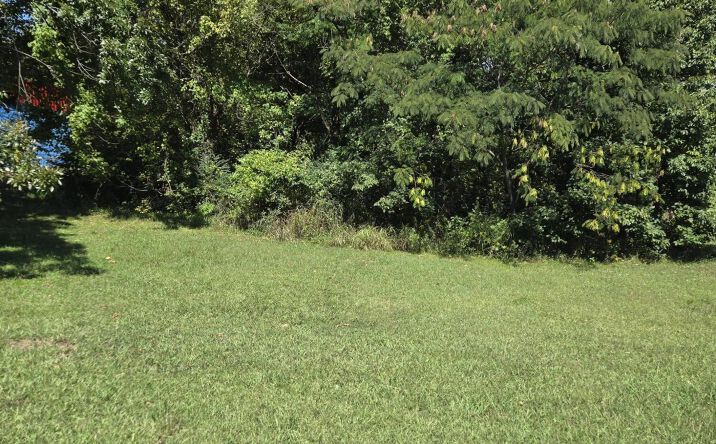 Pictures of Land property located at 1599 North Parkway, Jackson, TN 38301 for sales - image #1