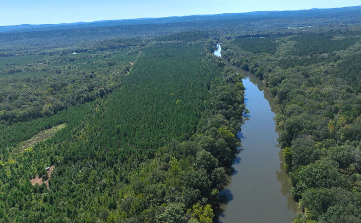 Pictures of Land property located at AR-28, Bluffton, AR 72827 for sales - image #1