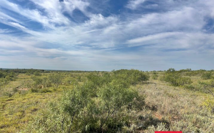 Pictures of Land property located at County Road 216, Afti, Afton, TX 79220 for sales - image #1
