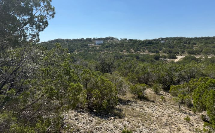 Pictures of Land property located at 917 Roy Creel Trail, Dripping Springs, USA 78620 for sales - image #1