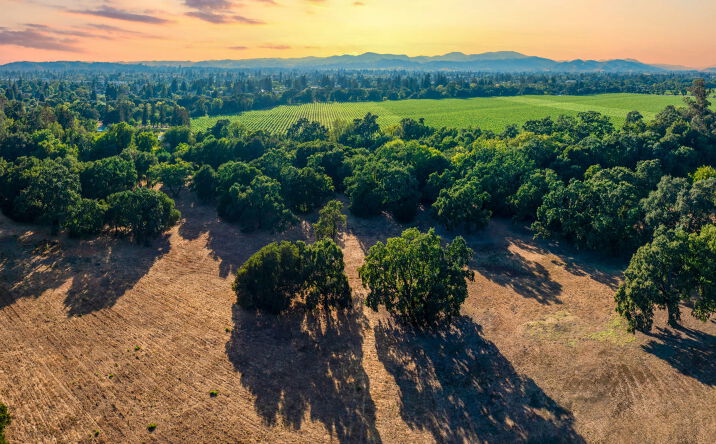 Pictures of Land property located at 0 Silverado Trail, Napa, CA 94558 for sales - image #1