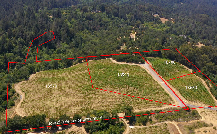 Pictures of Land property located at 18570 Black Rd, Los Gatos, CA 95033 for sales - image #1