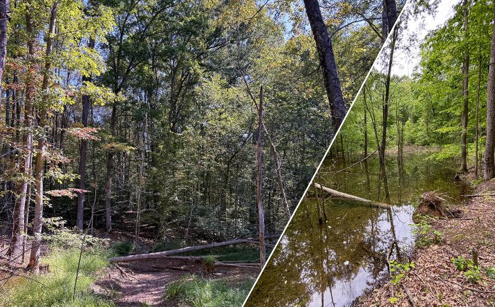 Pictures of Land property located at Wolf Hill Road #(Tract 6 Wolf Hill), Vinton, OH 45686 for sales - image #1