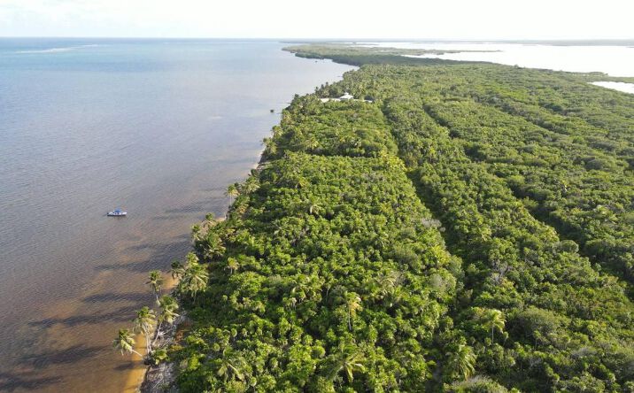 Pictures of Land property located at Belize Beachfront Lot Palm Bay Club Ambergris Caye, Belize, Belize 00000 for sales - image #1