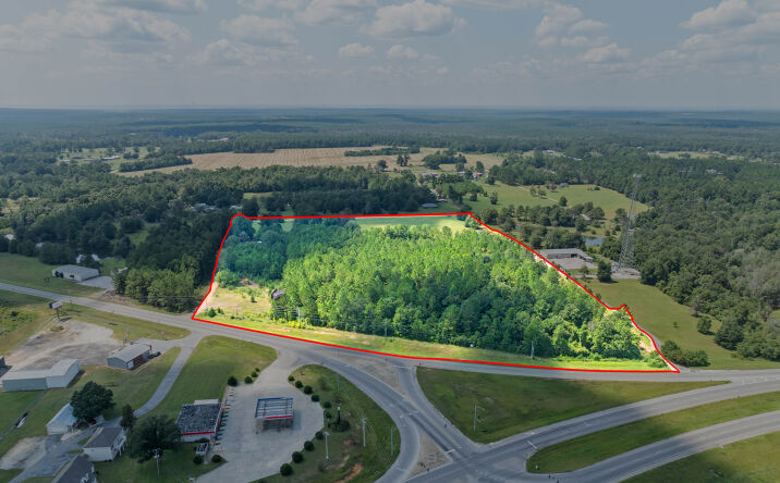 Pictures of Land property located at Highway 31, Stapleton, AL 36578 for sales - image #1