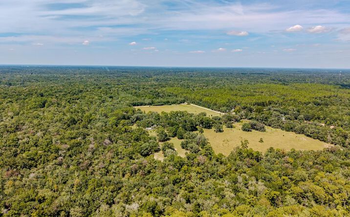 Pictures of Land property located at 480 NE 242 Ave, Old Town, FL 32680 for sales - image #1