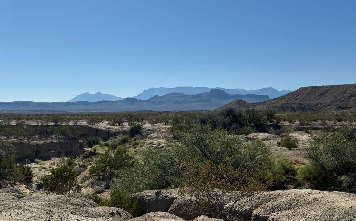 Pictures of Land property located at 1293 Huffman Rd, Terlingua, TX 79852 for sales - image #1