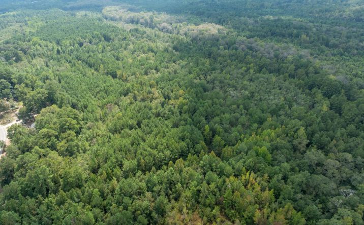 Pictures of Land property located at Holly Ln, Laurinburg, NC 28352 for sales - image #1