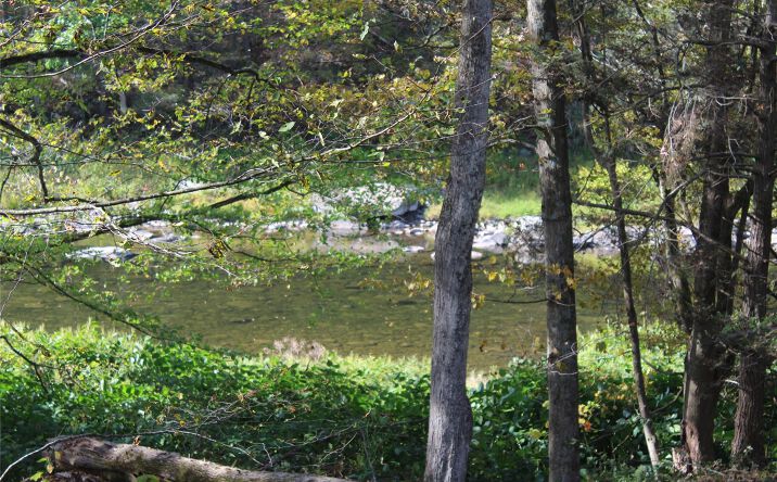 Pictures of Land, Special Purpose property located at Peakville Road, Hancock, NY 13783 for sales - image #1
